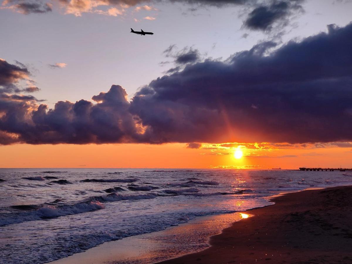 Piuma Celeste A Due Passi Dal Mare E Dal Centro Storico Lido di Ostia Eksteriør bilde